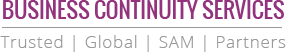 Business Continuity Services